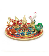 Vitality Activator Plate