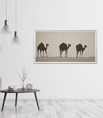 Three Camels