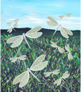 11 Dragonflies