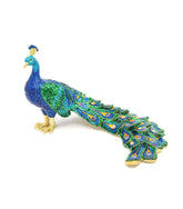 Protection Peacock