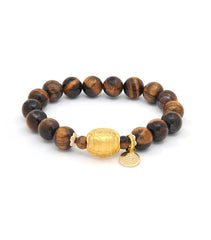 Tiger's Eye with Gold Tortoise Shell (财 Wealth)