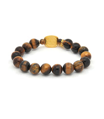 Tiger's Eye with Gold Tortoise Shell (财 Wealth)