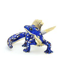 Sky Salamander