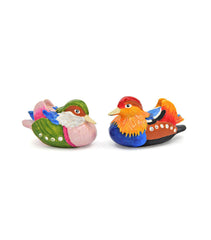 Bejewelled Mandarin Duck