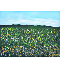 Field Of Dreams