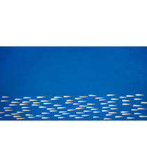 Silver Sardines